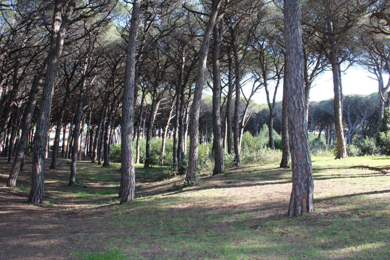 Hotel Massimo Marina di Cecina Eksteriør bilde